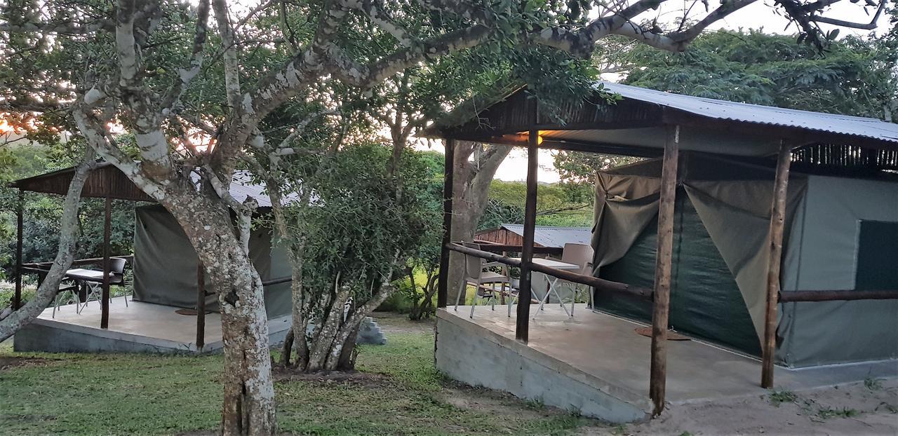 Kingfisher Bush Lodge Enkovukeni Εξωτερικό φωτογραφία