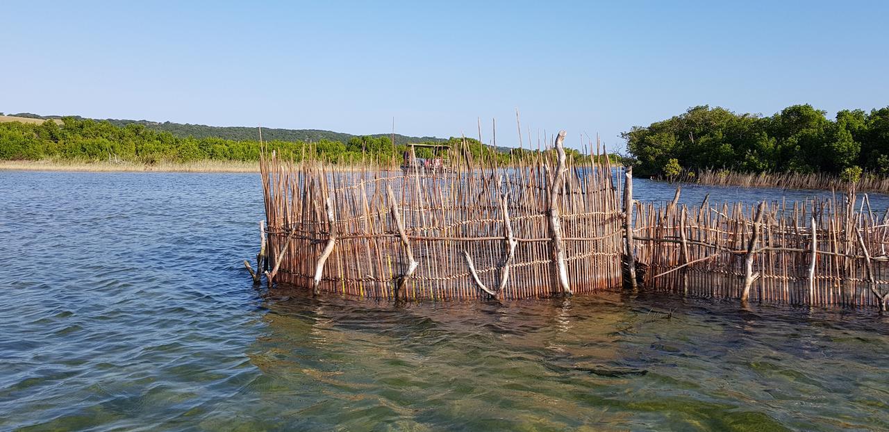 Kingfisher Bush Lodge Enkovukeni Εξωτερικό φωτογραφία